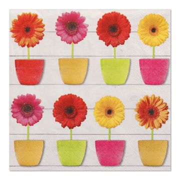 Servietten, 3-lagig 1/4-Falz 33 x 33 cm "Glowing Gerberas"